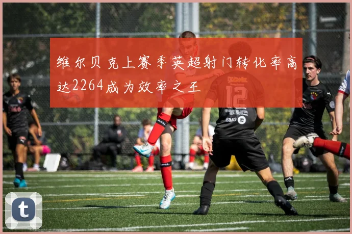 维尔贝克上赛季英超射门转化率高达2264成为效率之王